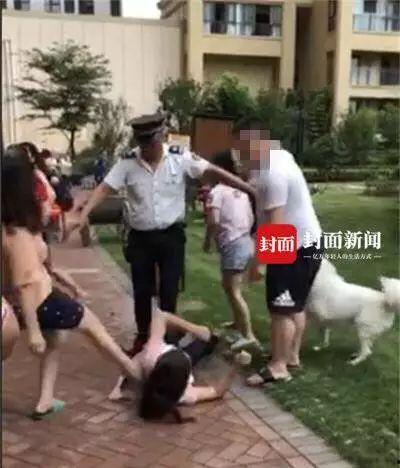 网友爆料遛狗视频大全图片,遛狗视频大全,萌宠日常欢乐多 第2张 网友爆料遛狗视频大全图片,遛狗视频大全,萌宠日常欢乐多 第2张