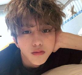 蔡徐坤白鹿八卦爆料视频,八卦视频揭秘明星幕后故事  第1张