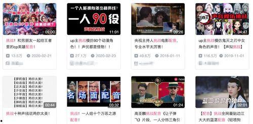 独家爆料配音视频大全,配音视频大全背后的精彩故事  第1张